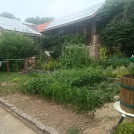 Weingut Juergen - Lutz