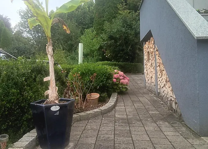 Apartmán Weingut Juergen - Lutz Angelbachtal