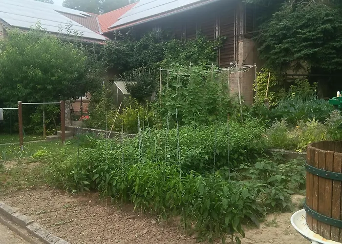 Weingut Juergen - Lutz